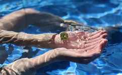 谁有快猫可以发一下吗